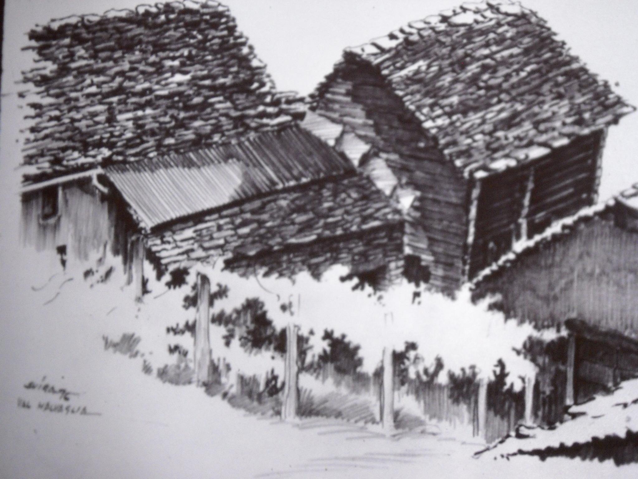 254. 1976. flomaster. scateto blenio